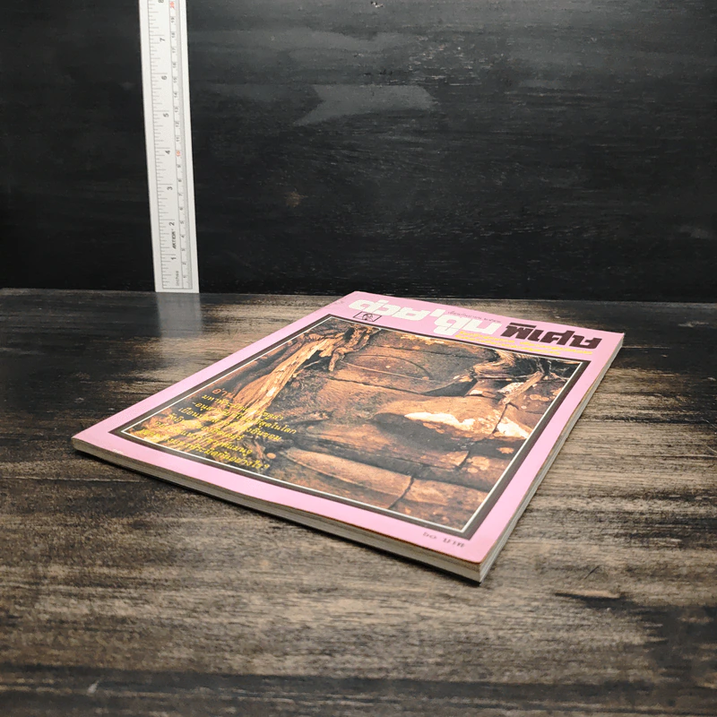 ต่วยตูนพิเศษ ปีที่ 26 ฉบับที่ 307 ก.ย.2543 รูปที่ 4