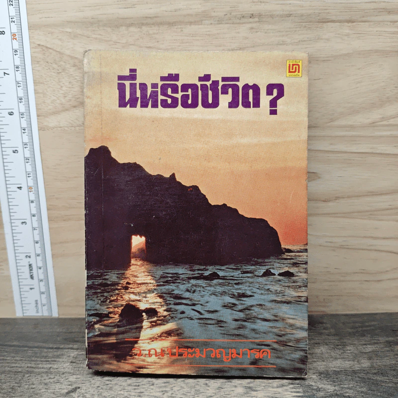 นี่หรือชีวิต? - ว.ณ ประมวญมารค รูปที่ 1