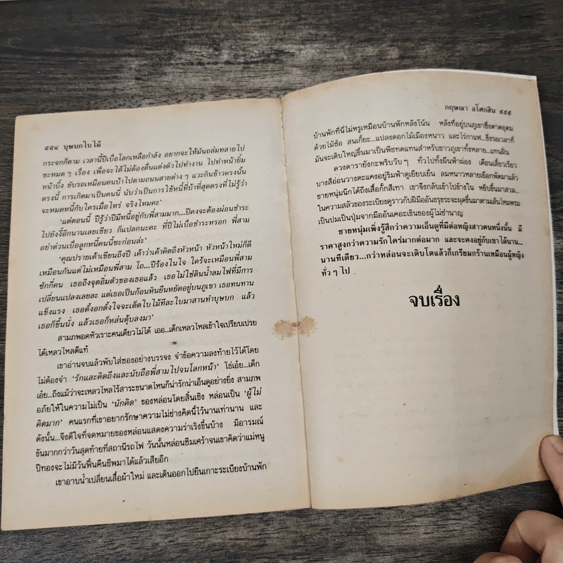บุษบกใบไม้ - กฤษณา อโศกสิน รูปที่ 8