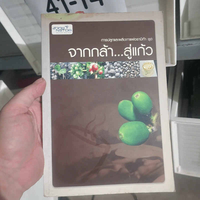 การปลูกและผลิตกาแฟอราบิก้า ชุด จากกล้า...สู่แก้ว รูปที่ 1