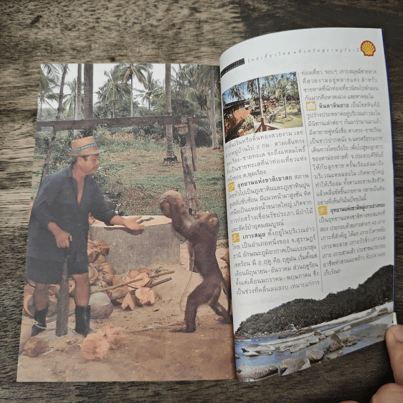คู่มือไทยเที่ยวไทย Amazing Thailand 1998-1999 รูปที่ 8