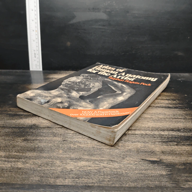 Atlas of Human Anatomy for the Artist - Stephen RogersPeck รูปที่ 4
