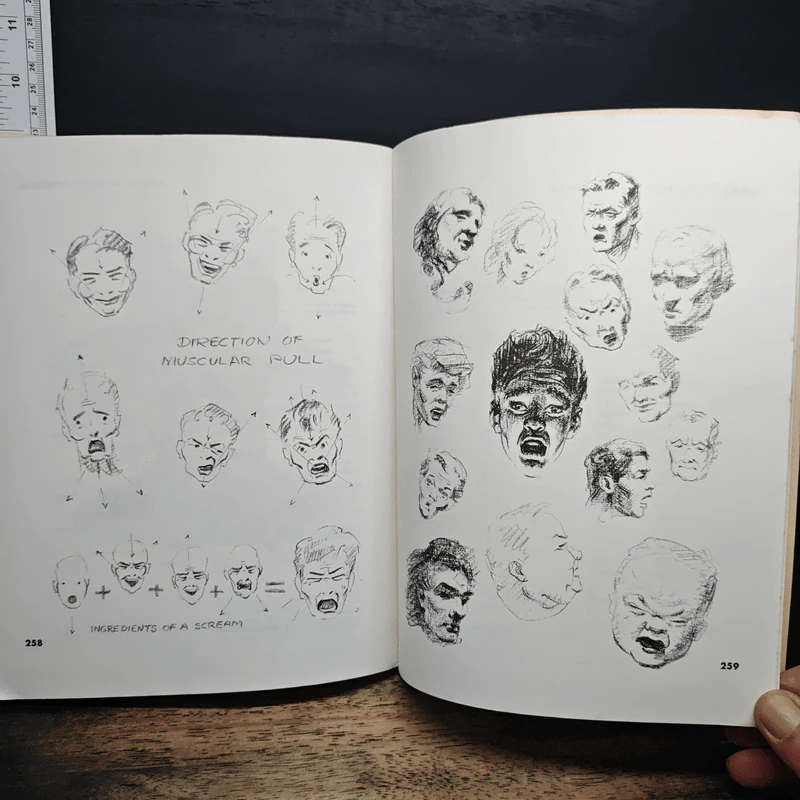 Atlas of Human Anatomy for the Artist - Stephen RogersPeck รูปที่ 14