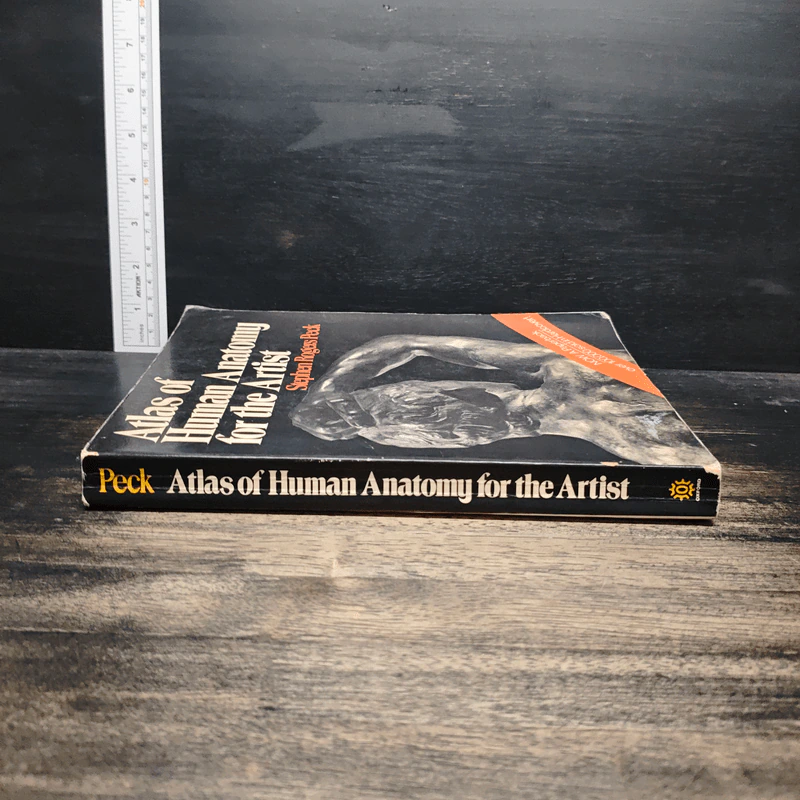 Atlas of Human Anatomy for the Artist - Stephen RogersPeck รูปที่ 3