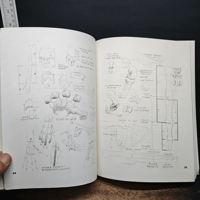 Atlas of Human Anatomy for the Artist - Stephen RogersPeck รูปที่ 13