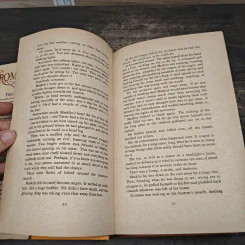 The Bromeliad Trilogy - Terry Pratchett รูปที่ 7