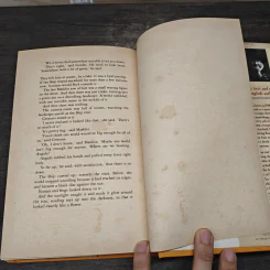 The Bromeliad Trilogy - Terry Pratchett รูปที่ 8