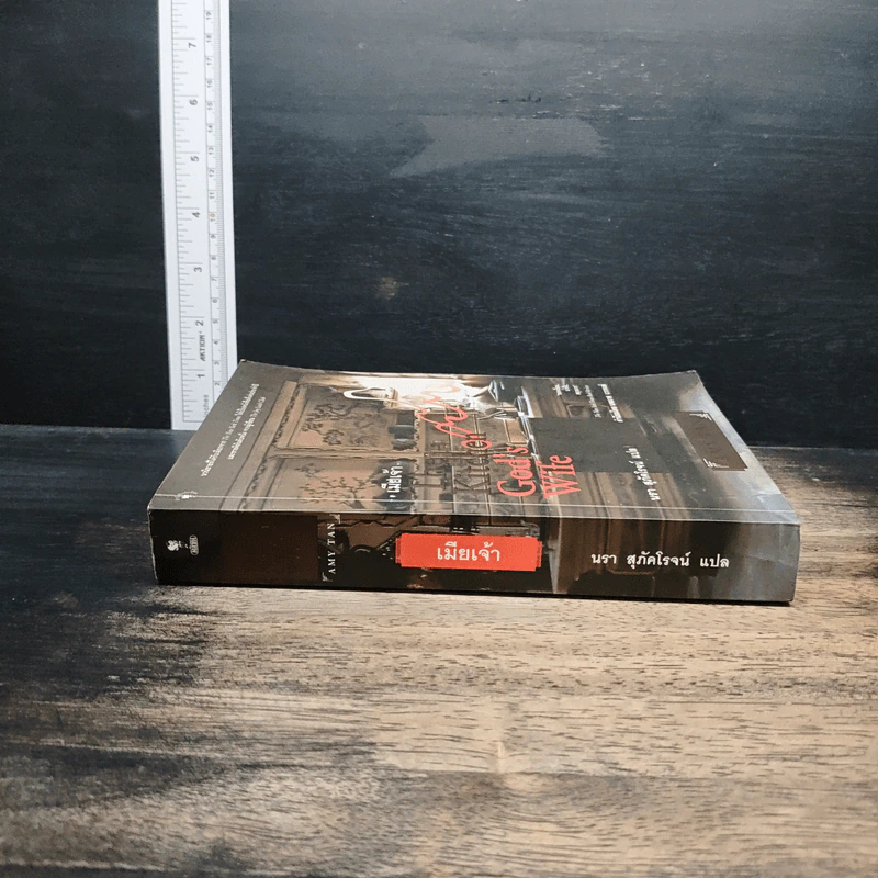 เมียเจ้า The Kitchen God's Wife - Amy Tan (เอมี่ ตัน) รูปที่ 3