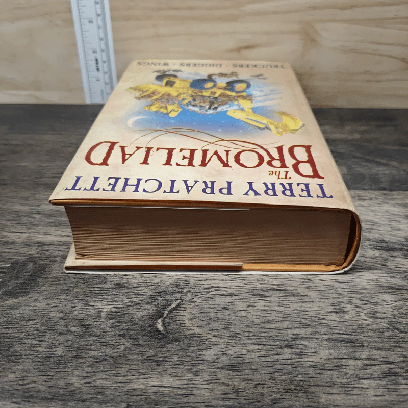 The Bromeliad Trilogy - Terry Pratchett รูปที่ 4