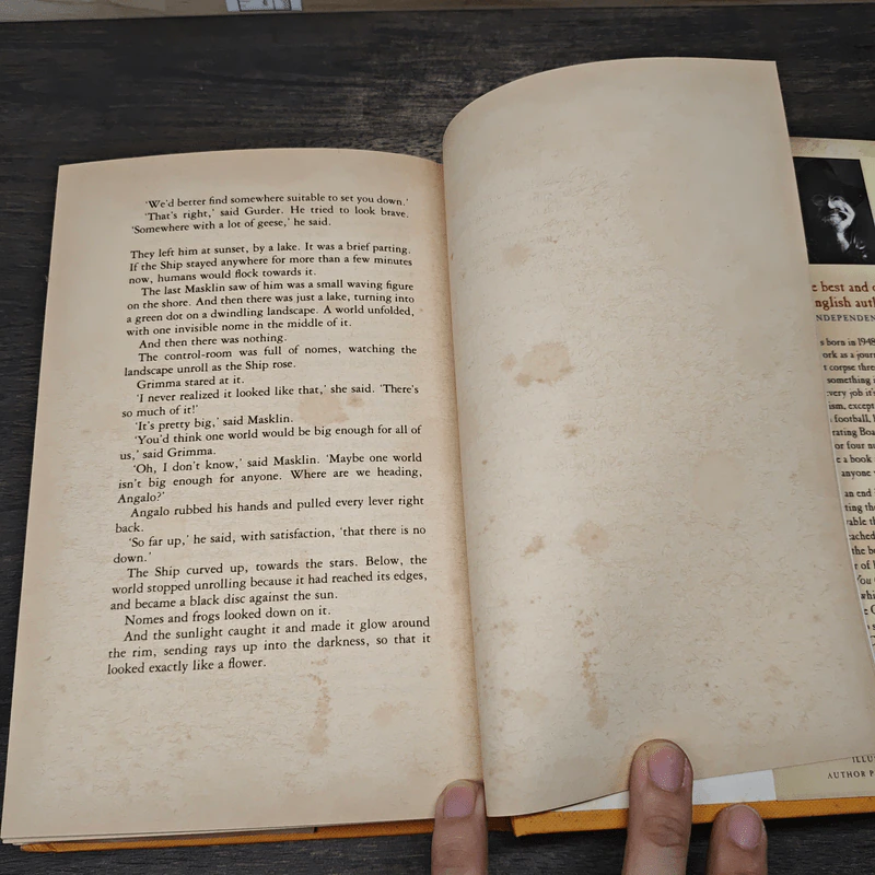 The Bromeliad Trilogy - Terry Pratchett รูปที่ 8