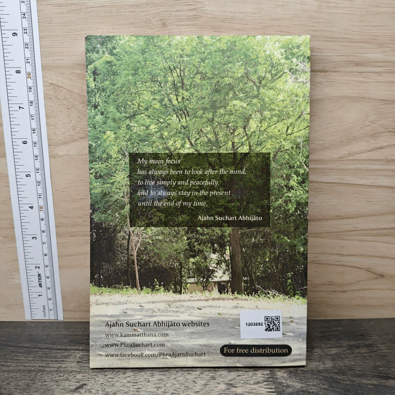 My Way - Ajahn Suchart Abhijato รูปที่ 5
