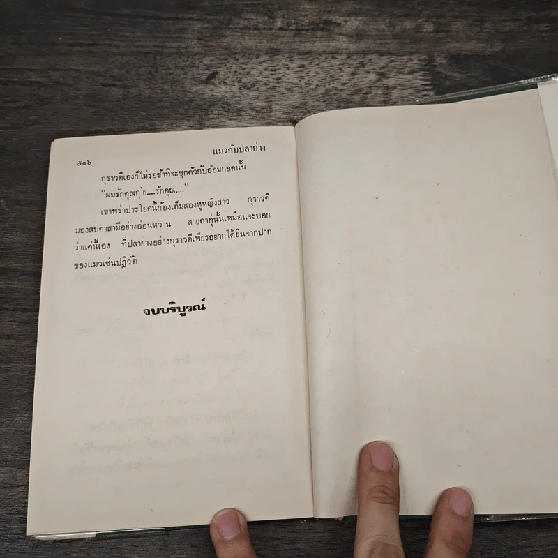 แมวกับปลาย่าง - กรุง ญ. ฉัตร รูปที่ 7