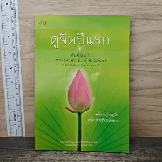 ดูจิตปีแรก - สันตินันท์ (หลวงพ่อปราโมทย์ ปาโมชโช) รูปที่ 1