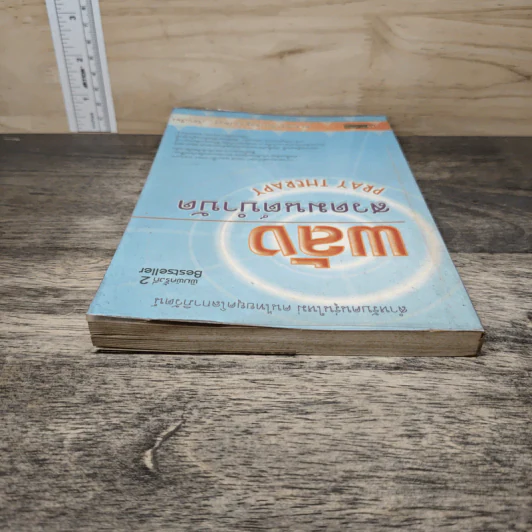 พลังสวดมนต์บำบัด Pray Therapy - ดร.มายด์ รูปที่ 4