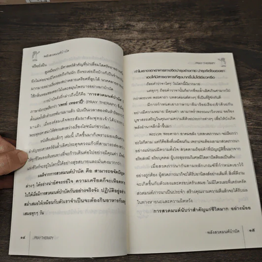 พลังสวดมนต์บำบัด Pray Therapy - ดร.มายด์ รูปที่ 9