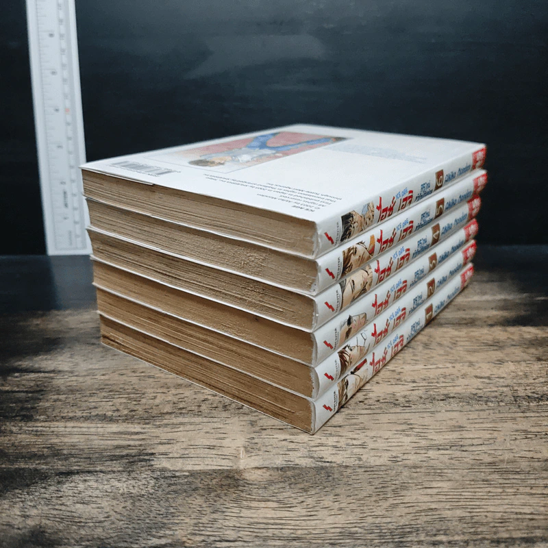 Ice Age ไอซ์ เอจิ ครูใหม่หัวใจเกินร้อย เล่ม 1-6 รูปที่ 4