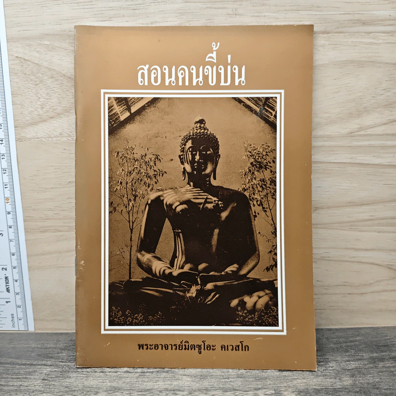 สอนคนขี้บ่น - พระอาจารย์มิตซูโอะ คเวสโก รูปที่ 1