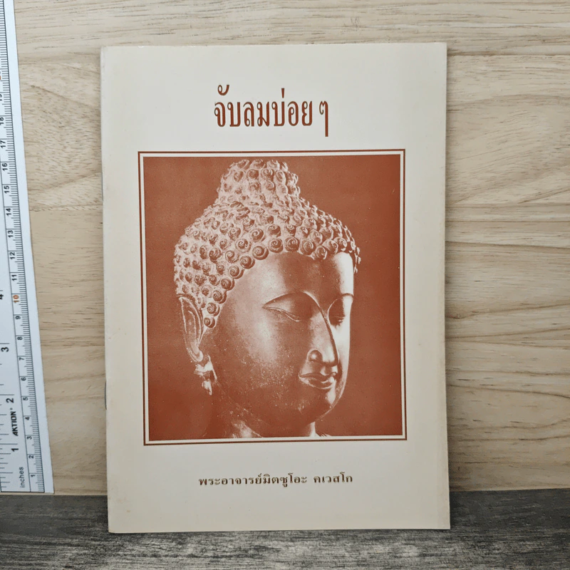 จับลมบ่อยๆ - พระอาจารย์มิตซูโอะ คเวสโก รูปที่ 1