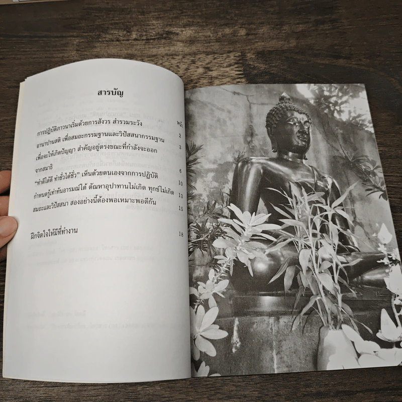 จับลมบ่อยๆ - พระอาจารย์มิตซูโอะ คเวสโก รูปที่ 7