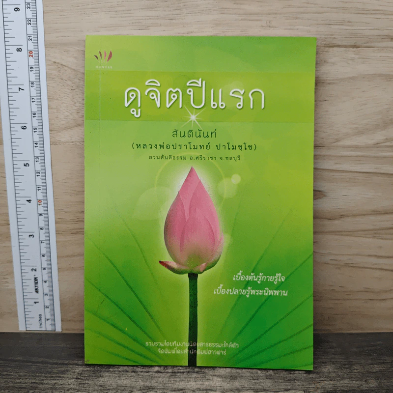 ดูจิตปีแรก - สันตินันท์ (หลวงพ่อปราโมทย์ ปาโมชโช) รูปที่ 1