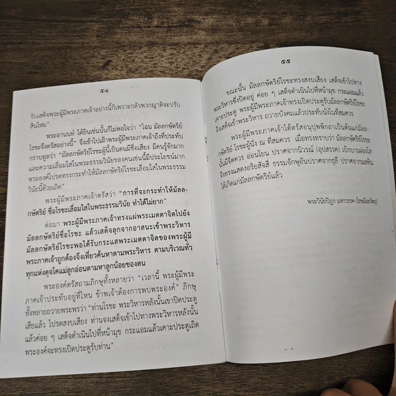 รัตนมาลา มหาเมตตานุภาพ - พระกรรมที่ปีกาจารย์ รูปที่ 8