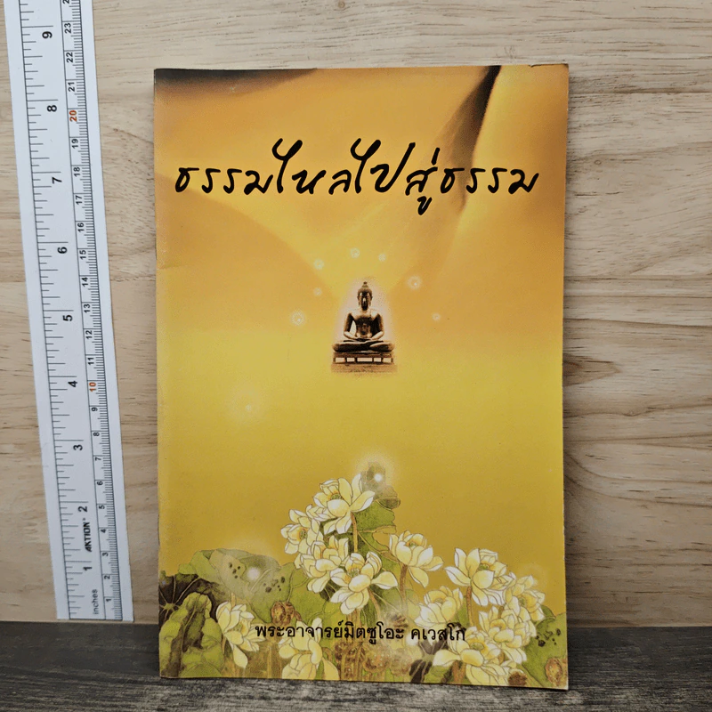 ธรรมใหลไปสู่ธรรม - พระอาจารย์มิตซูโอะ คเวสโก รูปที่ 1