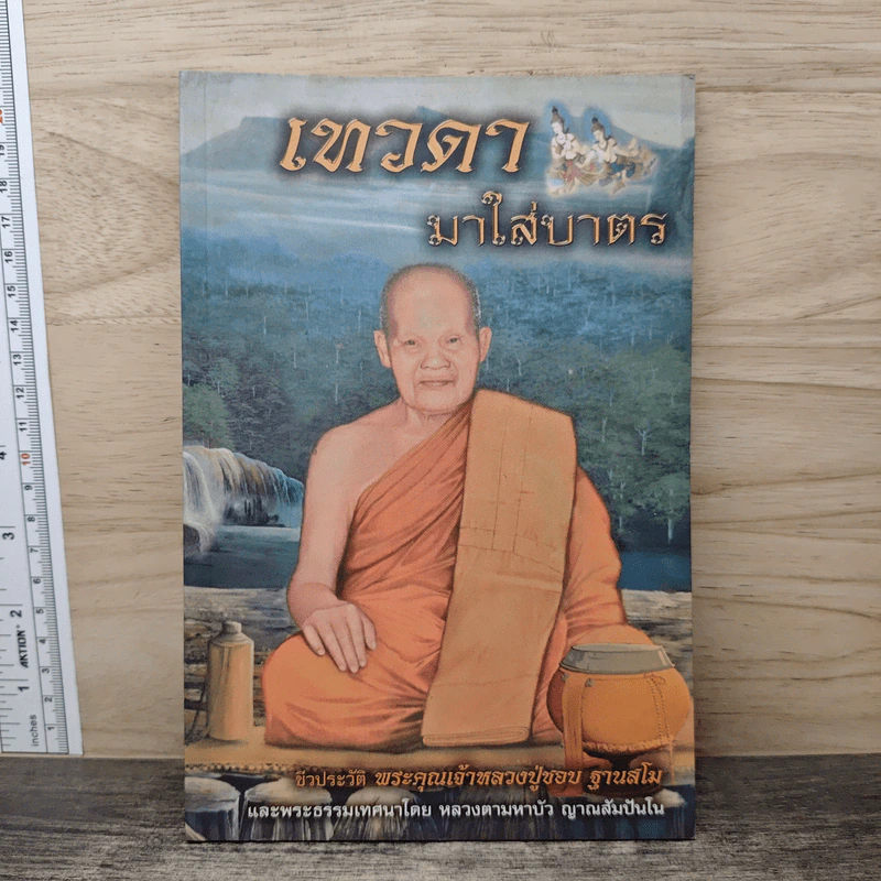 เทวดามาใส่บาตร - หลวงตามหาบัว ญาณสัมปันโน รูปที่ 1
