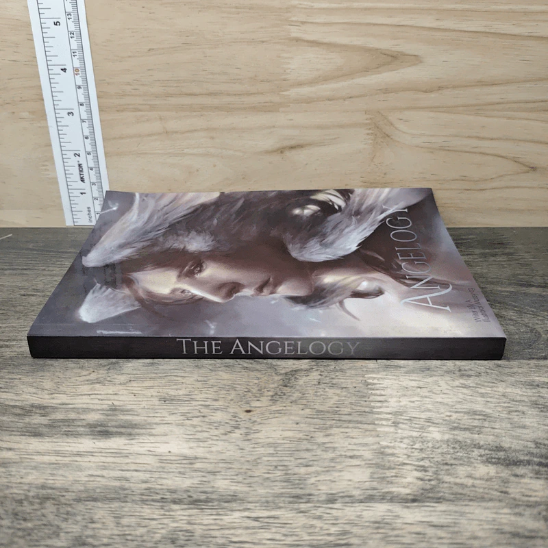 Angelogy - Lily A รูปที่ 2