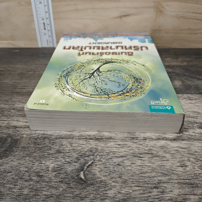 Insurgent อินเซอร์เจนท์ ปริศนาสยบโลก - เวอโรนิก้า รอธ รูปที่ 4