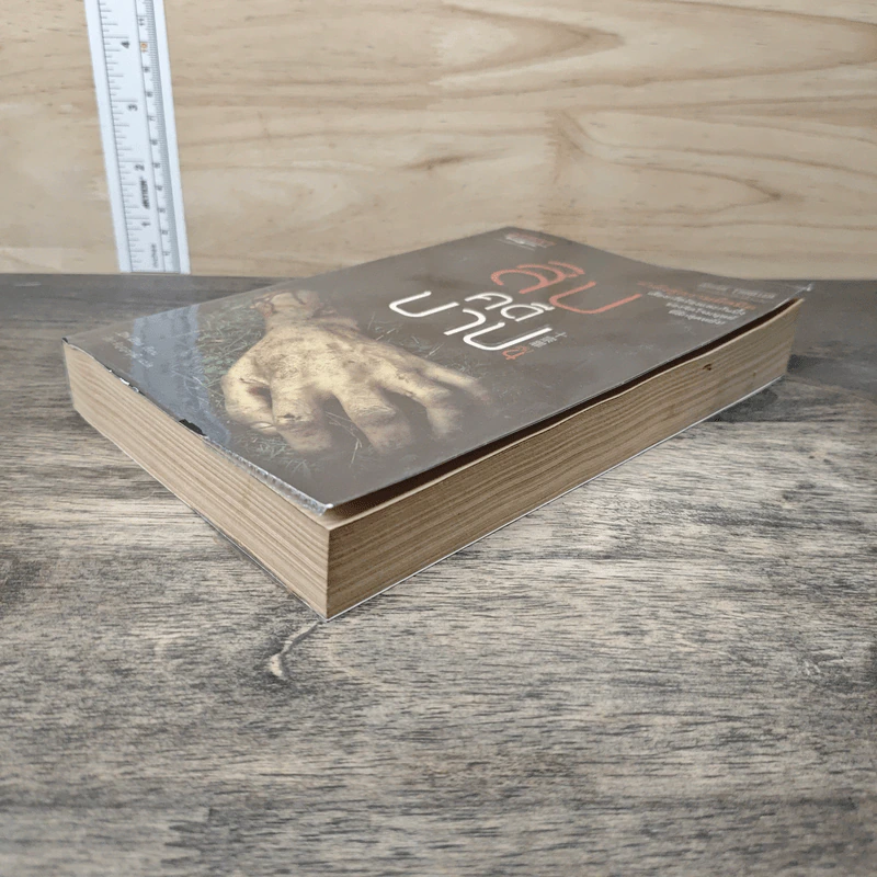 สิบคดีบาป เล่ม 4 - Zhi Zhu รูปที่ 3