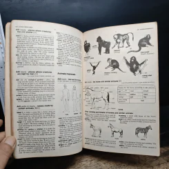 Longman Lexicon of Contemporary English รูปที่ 9