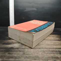 Cambridge International Dictionary of English รูปที่ 4