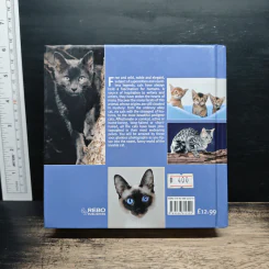 Cat 1001 photos รูปที่ 2