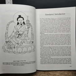 Words of My Perfect Teacher - Patrul Rinpoche รูปที่ 13