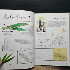 Grow, Cook & Eat - Fay Khoo, CY Phang รูปที่ 8