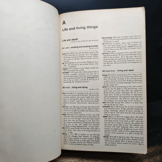 Longman Lexicon of Contemporary English รูปที่ 8