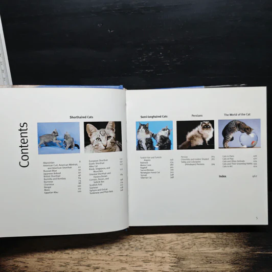 Cat 1001 photos รูปที่ 7
