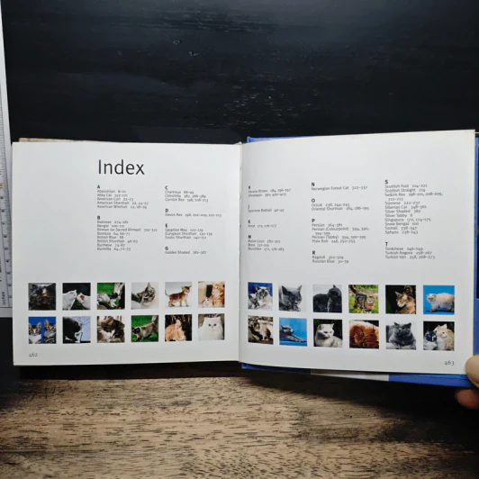 Cat 1001 photos รูปที่ 12
