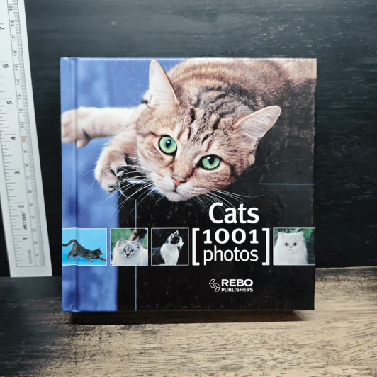 Cat 1001 photos รูปที่ 1