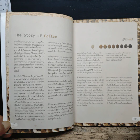 The New Café Culture ฉบับสมบูรณ์ รูปที่ 7
