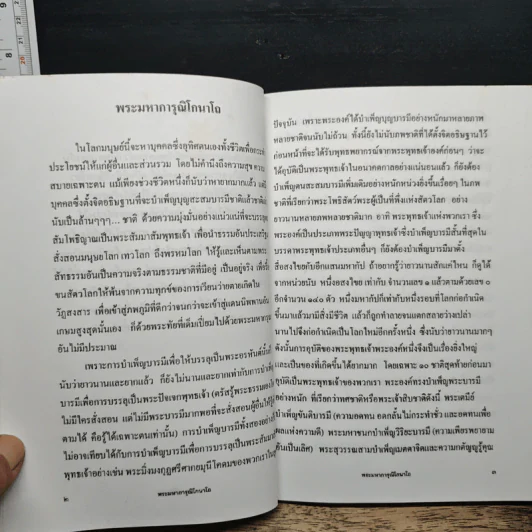 พระมหาการุณิโกนาโถ รูปที่ 8