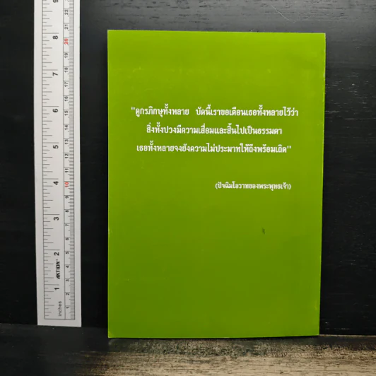 พระมหาการุณิโกนาโถ รูปที่ 2