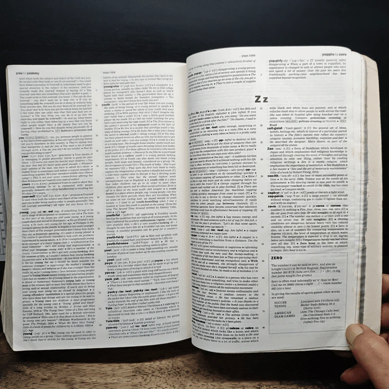 Cambridge International Dictionary of English รูปที่ 8