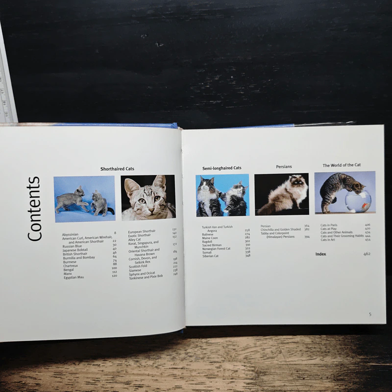 Cat 1001 photos รูปที่ 7
