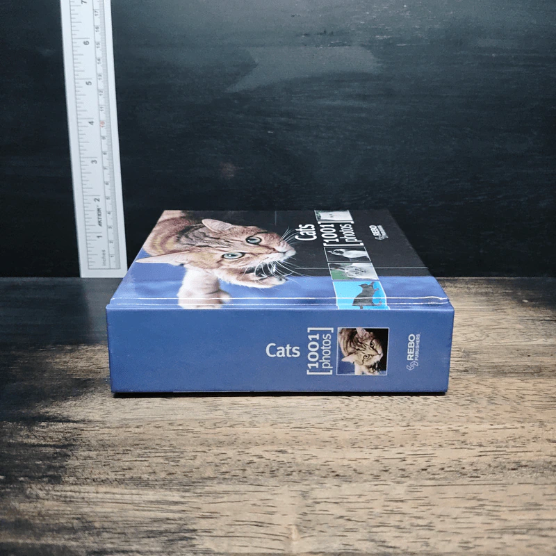Cat 1001 photos รูปที่ 3