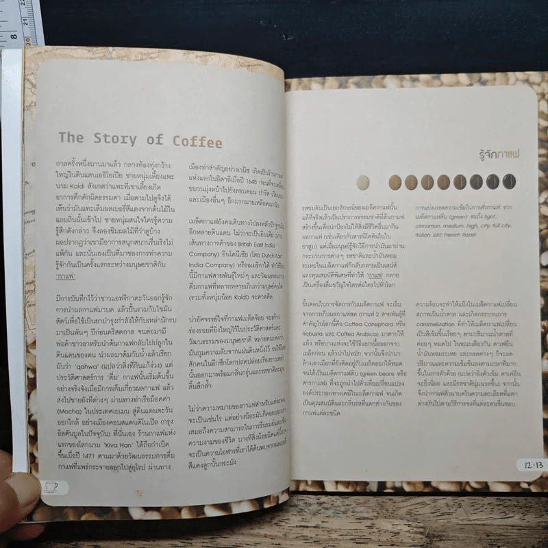 The New Café Culture ฉบับสมบูรณ์ รูปที่ 7
