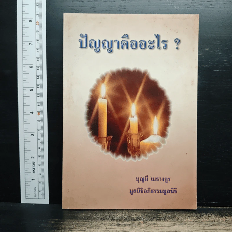 ปัญญาคืออะไร ? - บุญมี เมธางกูร รูปที่ 1