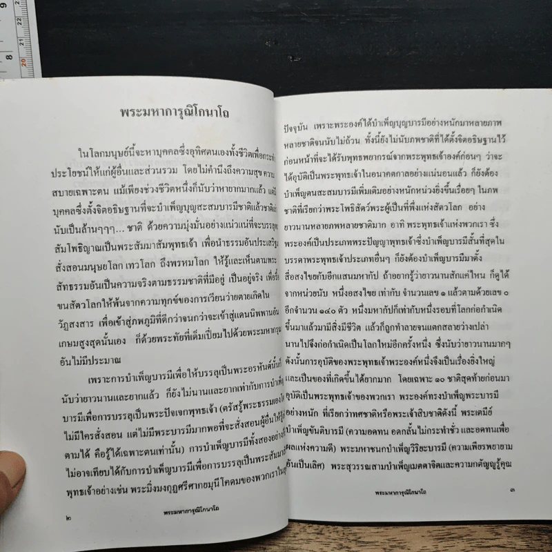 พระมหาการุณิโกนาโถ รูปที่ 8