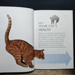 What's Up with My Cat? - Dr. Bruce Fogle รูปที่ 8