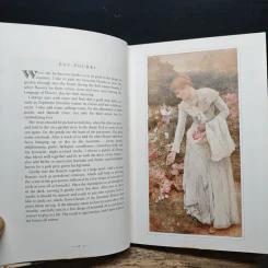 Summer's Cup - Sheila Pickles รูปที่ 7
